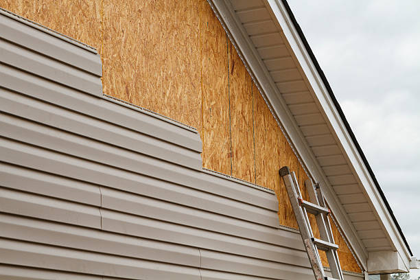 Professional Siding Repair technician working in Hernando, FL